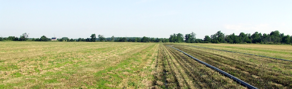 Field with land application of biosoilds