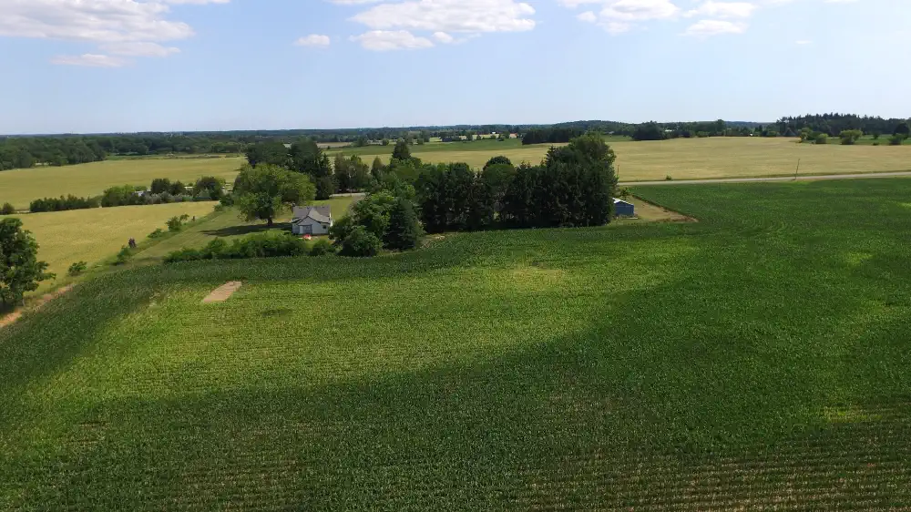 Growth comparison showing depleted setback area